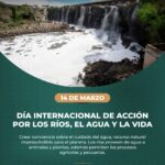 El agua es vida, y los ríos son su cauce. En el Día Internacional de Acción por los Ríos